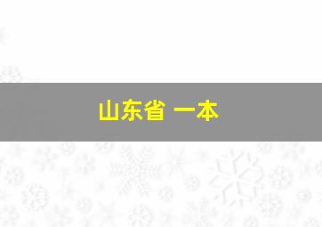 山东省 一本